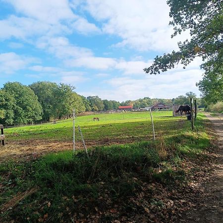 Cap Nature - T3 Et T4 En Perigord Vert - Ideal Pros Et Groupes Max 18P Champniers-et-Reilhac Екстер'єр фото