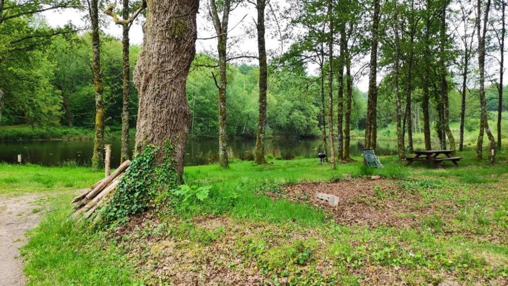 Cap Nature - T3 Et T4 En Perigord Vert - Ideal Pros Et Groupes Max 18P Champniers-et-Reilhac Екстер'єр фото