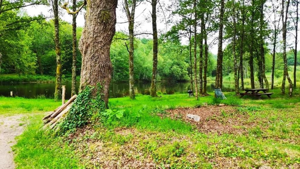 Cap Nature - T3 Et T4 En Perigord Vert - Ideal Pros Et Groupes Max 18P Champniers-et-Reilhac Екстер'єр фото